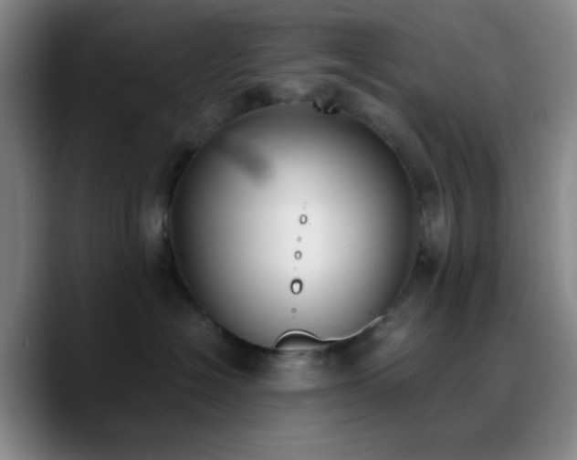 X0000090740574200707201431
