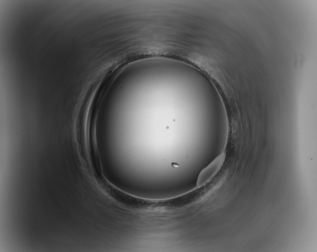 X0000090740581200707201431