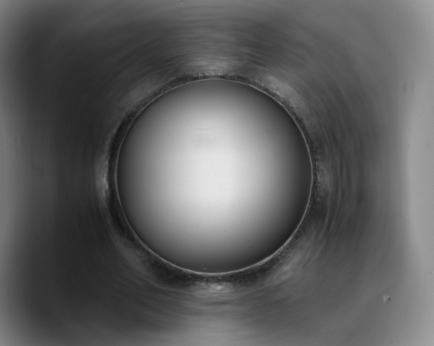 X0000090740582200707201431