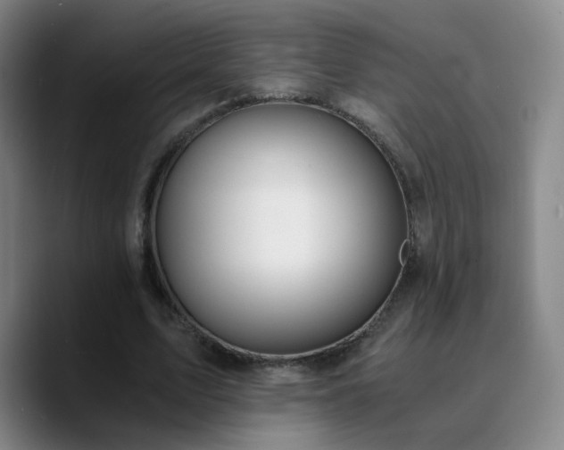 X0000090740583200707201431