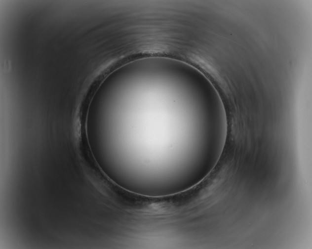 X0000090740584200707201431
