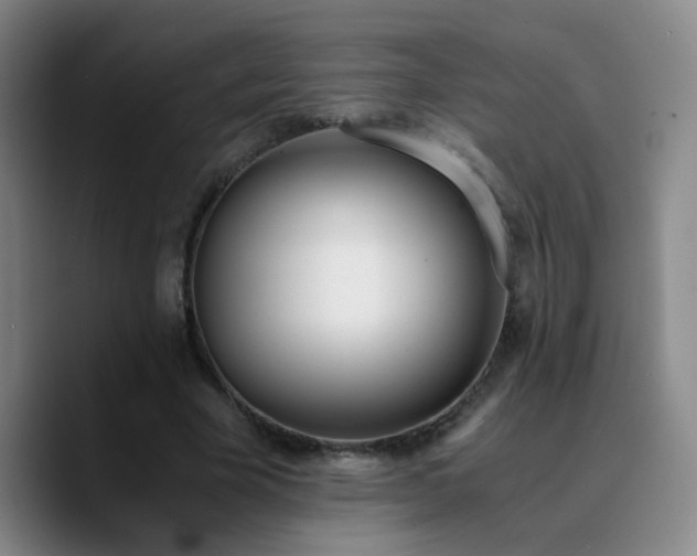 X0000090740585200707201431