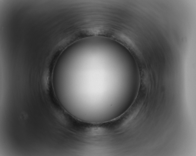 X0000090740590200707201431