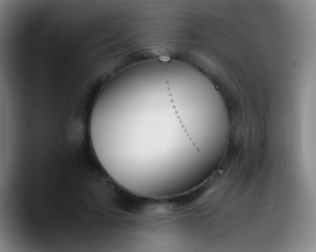 X0000090740595200707201430