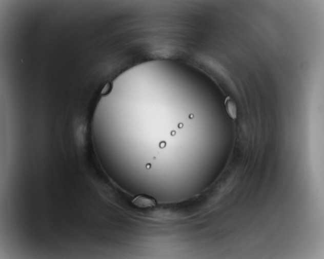 X0000090740596200707201430