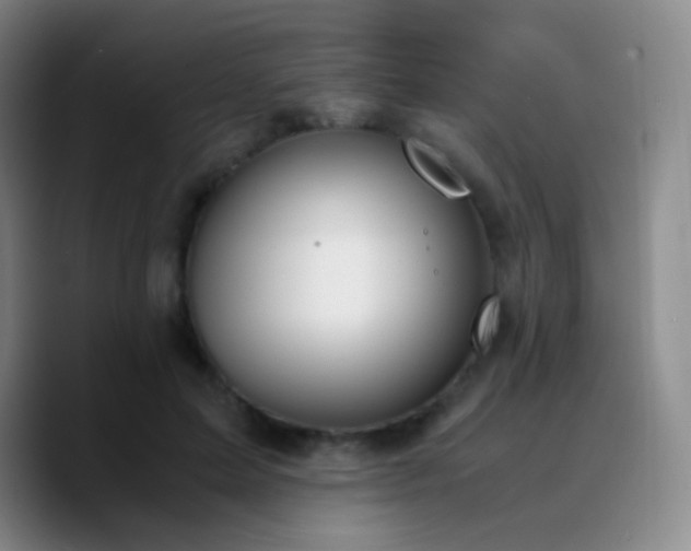 X0000090740599200707201430