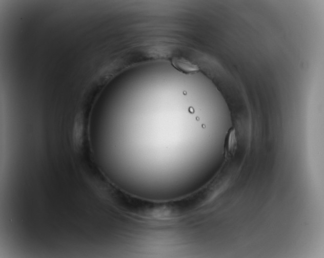 X0000090740600200707201430