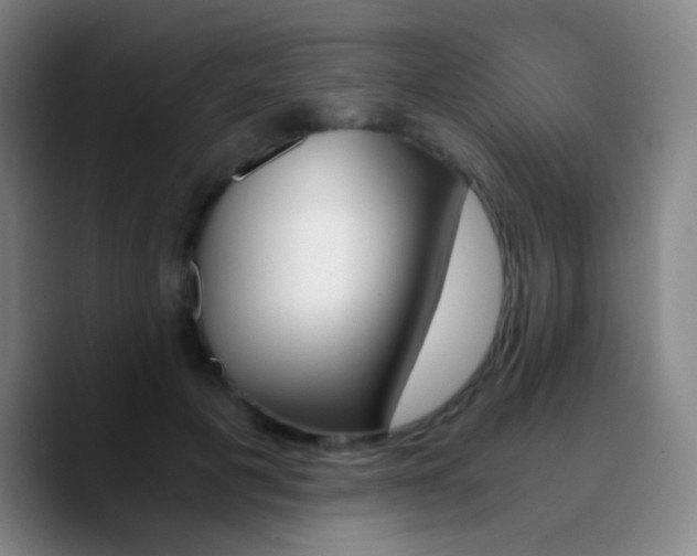 X0000090740601200707201430