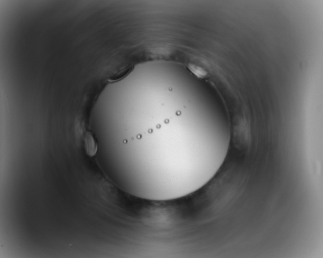X0000090740608200707201430