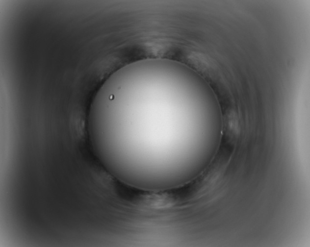 X0000090740615200707201430