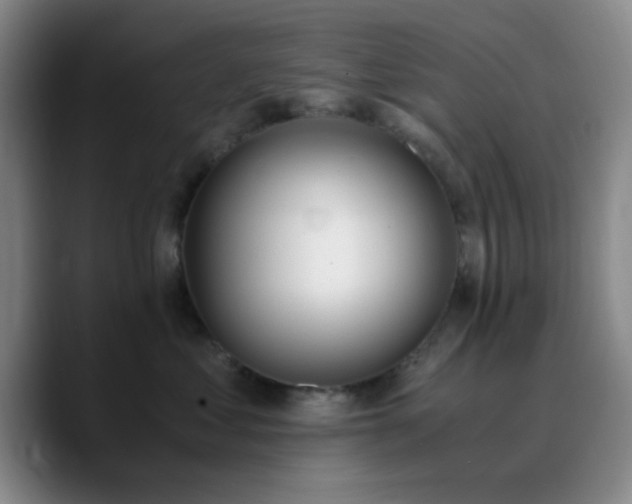 X0000090740621200707201430