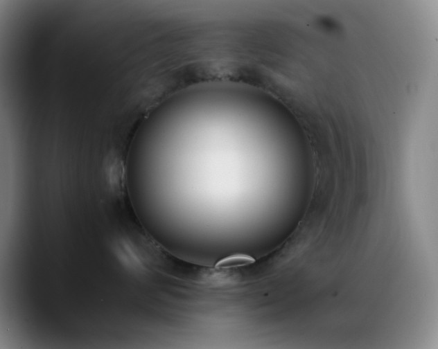 X0000090740624200707201430