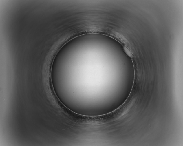 X0000090740625200707201429