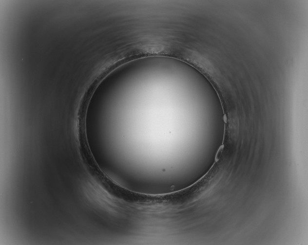X0000090740626200707201429