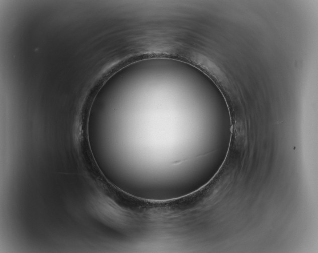 X0000090740628200707201429