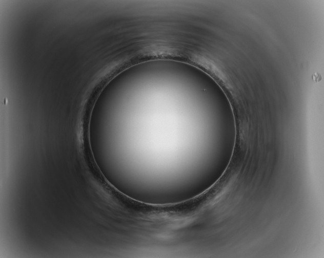 X0000090740629200707201430