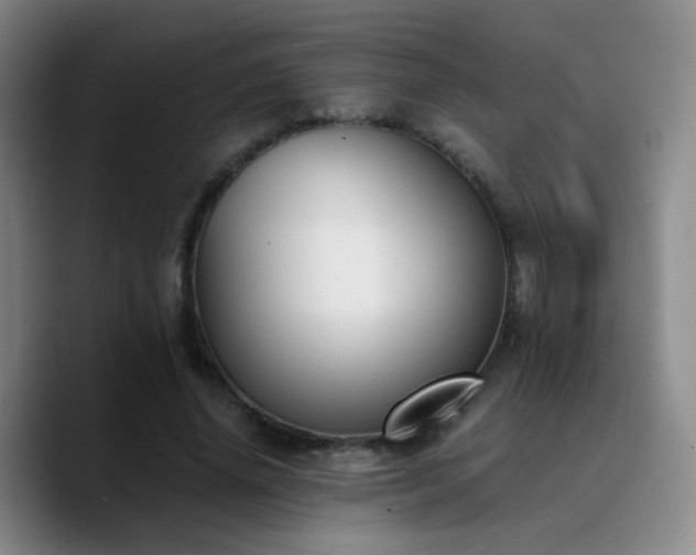 X0000090740636200707201430
