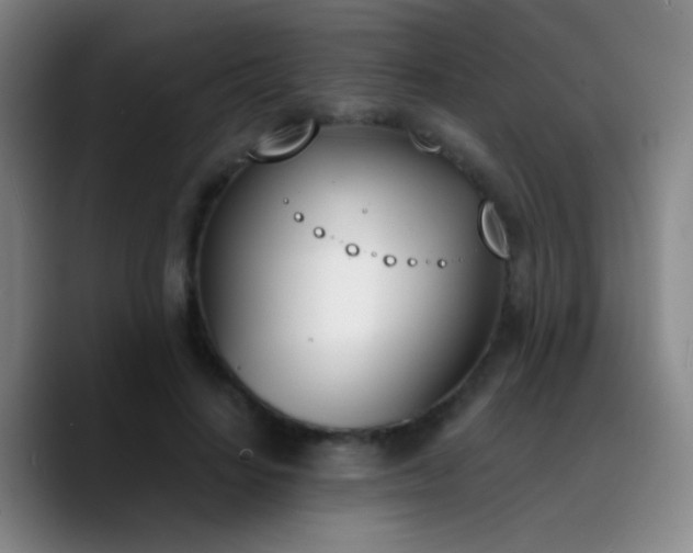 X0000090740644200707201430