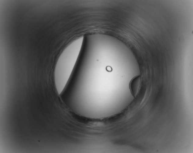 X0000090740649200707201430