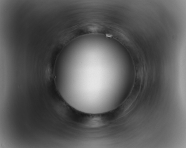 X0000090740651200707201430