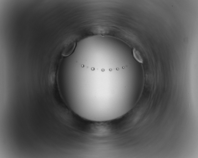 X0000090740652200707201430