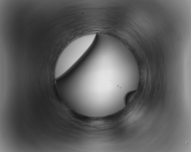 X0000090740653200707201430