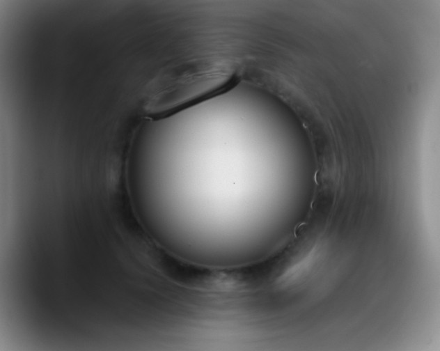 X0000090740656200707201430