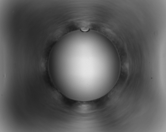 X0000090740658200707201430