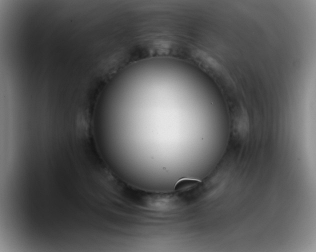 X0000090740661200707201430