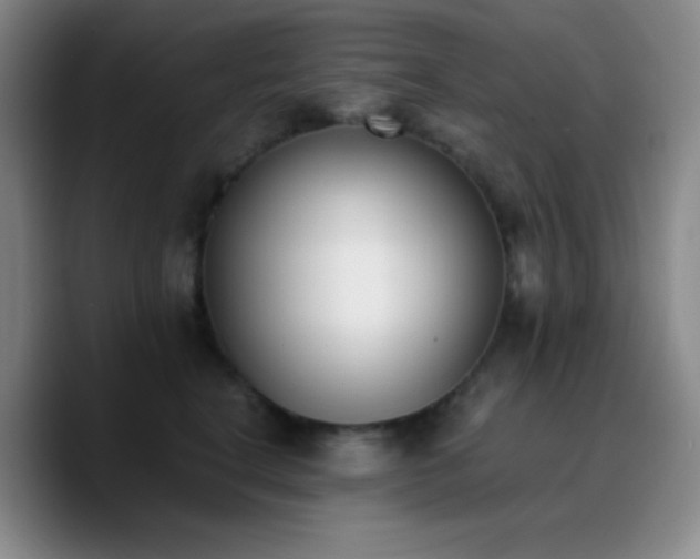 X0000090740664200707201430
