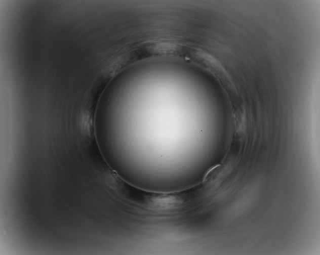 X0000090740669200707201430