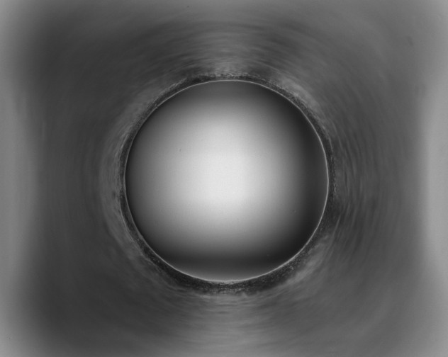 X0000090740673200707201429