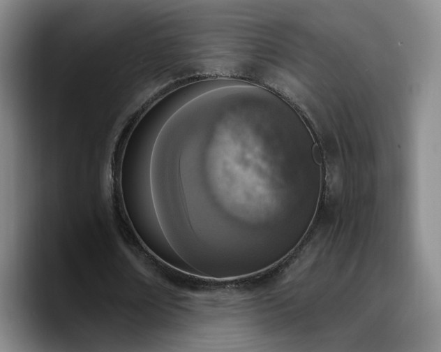 X0000090740674200707201429
