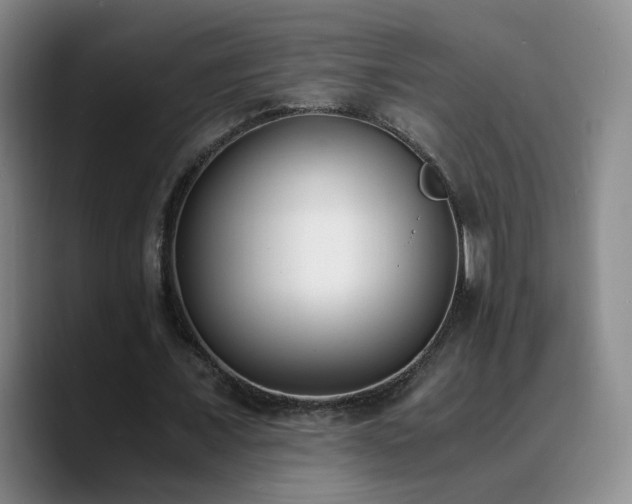X0000090740675200707201429