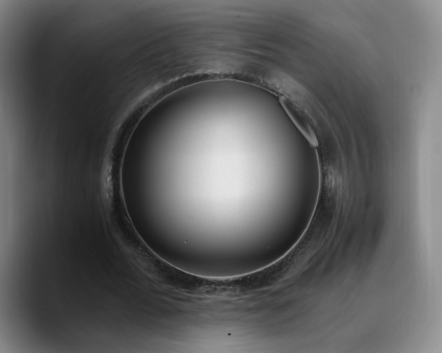 X0000090740676200707201429