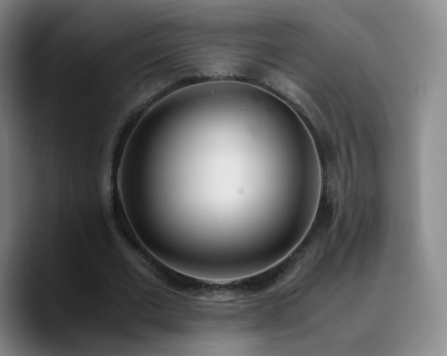 X0000090740677200707201429