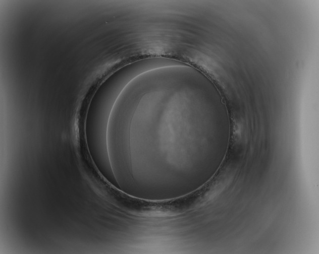 X0000090740678200707201429