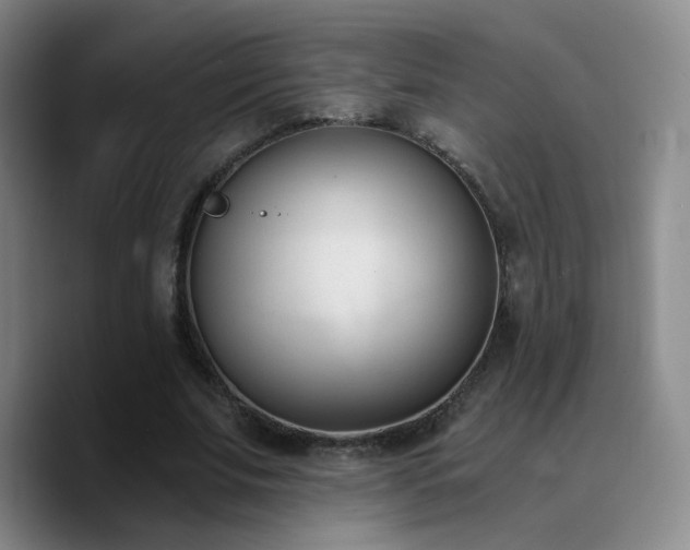 X0000090740679200707201429
