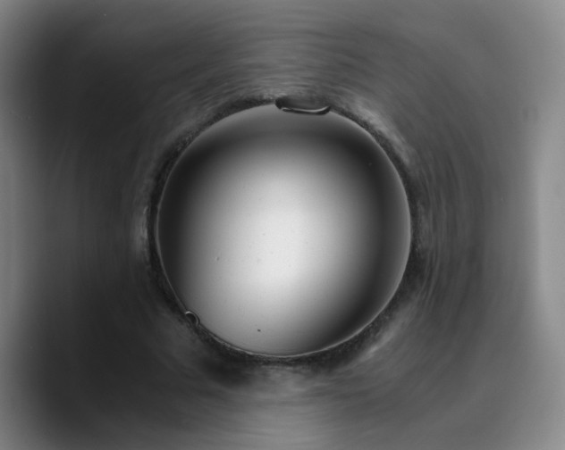 X0000090740681200707201429