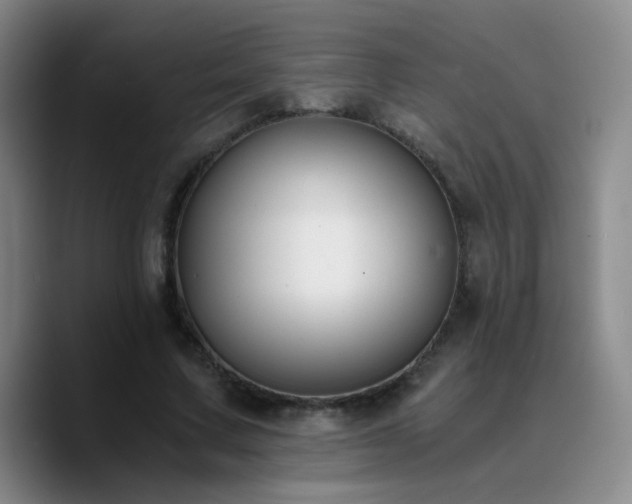 X0000090740683200707201429