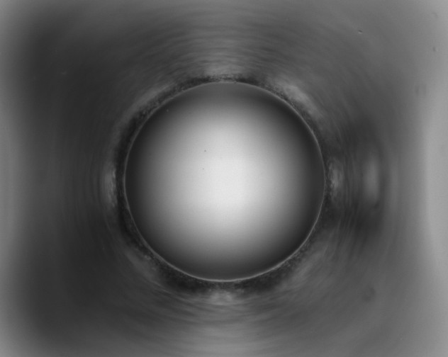 X0000090740684200707201429