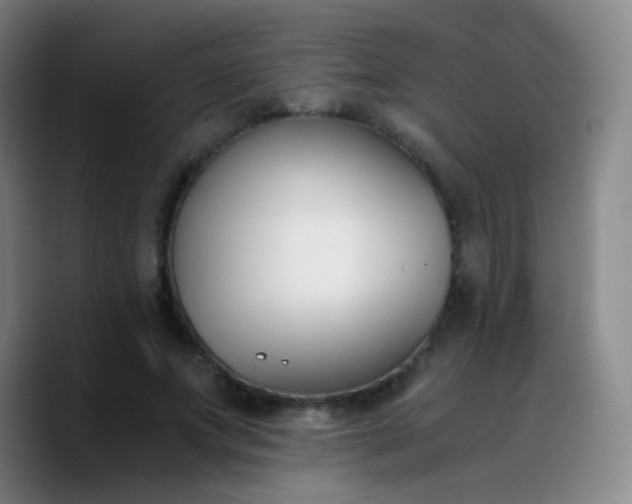 X0000090740687200707201429