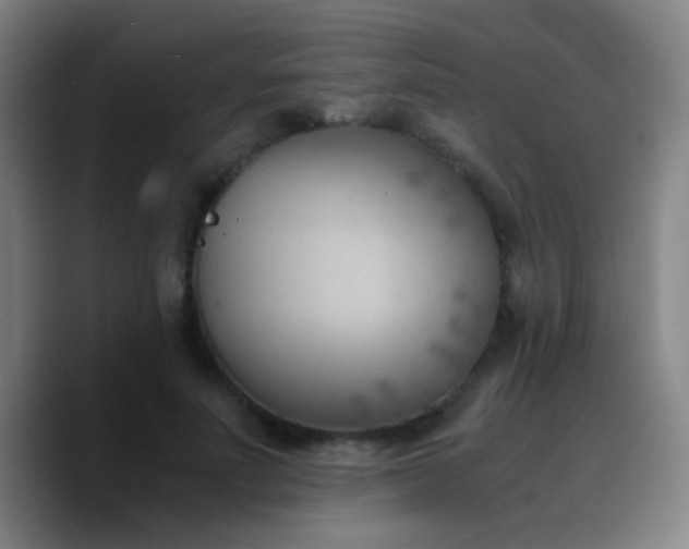 X0000090740691200707201429