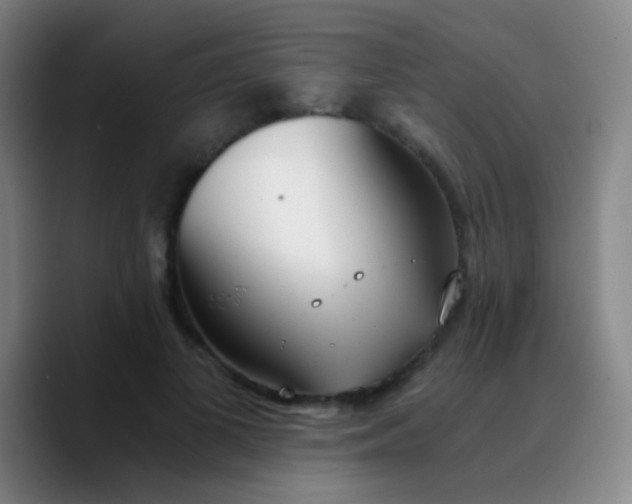 X0000090740693200707201429