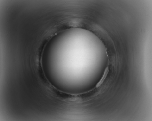 X0000090740696200707201429