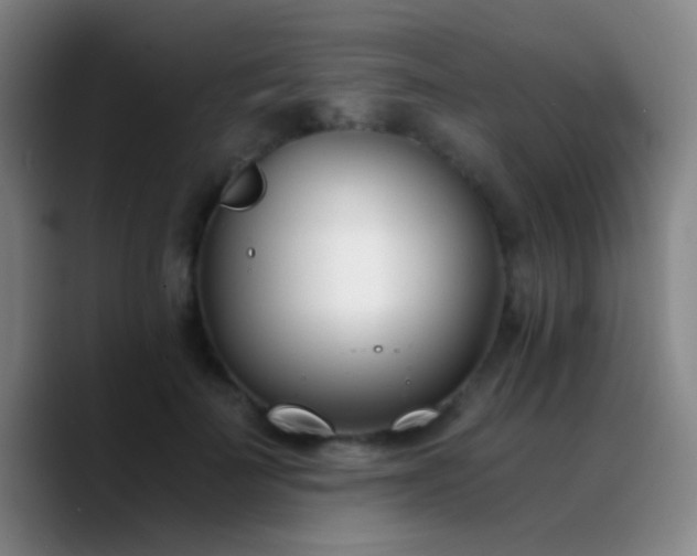 X0000090740699200707201429