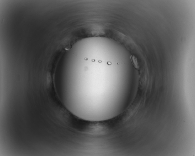X0000090740704200707201429