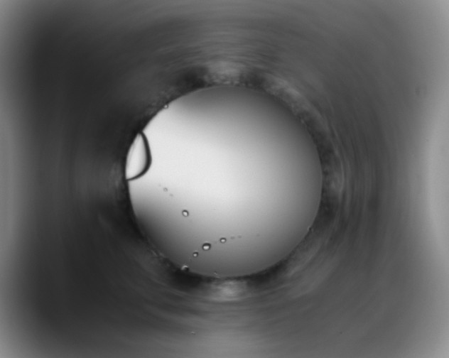 X0000090740711200707201429