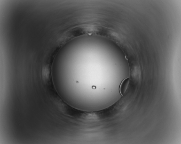 X0000090740715200707201429
