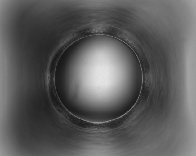 X0000090740722200707201428